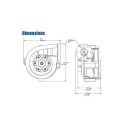 Pompe à eau électrique 80L/minute