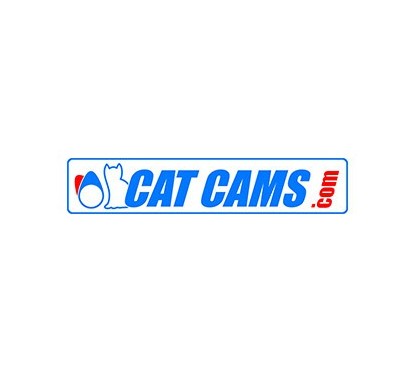 Cat Cams