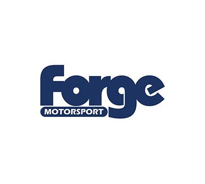 Forge Motosport